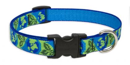 Halsband Leine mit lebenslanger Garantie