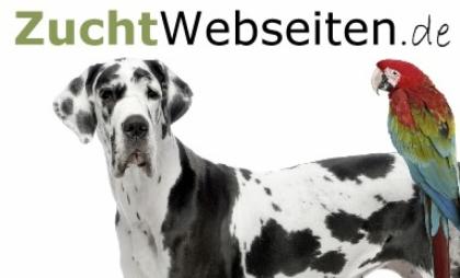 Erstellen Züchterwebseiten