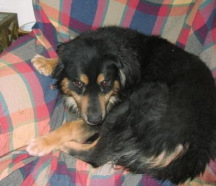 Froixos er rettete seinem Freund Aris Bernstein das Leben