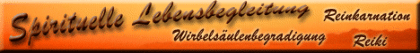 Sprituelle Lebensbegleitung - Reiki Reinkarnation Wirbelsäulenbegradigung