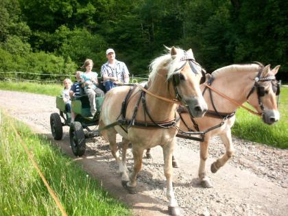 Ferien auf dem Pony -und Reiterhof Mai