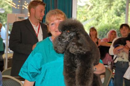 Hundesalon Minden