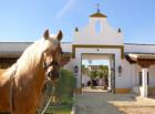 Www. Reiterflirt. eu und Hacienda El Boyal verlosen eine Woche Single-Urlaub in An