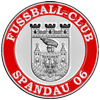 Berliner Damenfußballverein sucht noch diverse Sponsoren