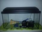 54liter aquarium inklusive zubehör.